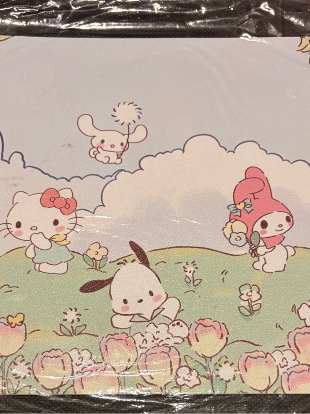 🌺Sanrio Mousepad